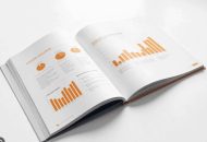 in kỷ yếu doanh nghiệp